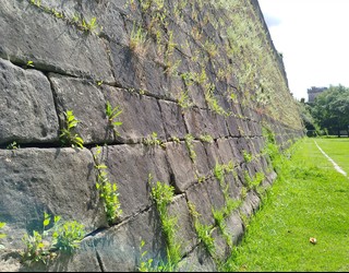 "Hondarribiko Harresi Biziak" liburua aurkeztuko dute Ingurumenaren Astean