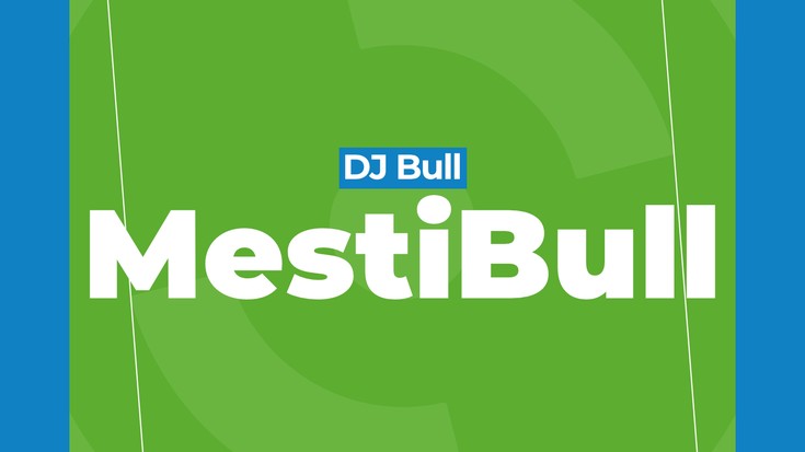 Mestibull 2019 11 22 
