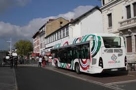 Hegobus zerbitzuaren erabiltzaile gehienak, emakume erretretadunak dira