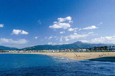 Hondarribia berdeagoa izango da orain, glifosatorik gabeko bide-bazter, lorategi eta baratzeei esker