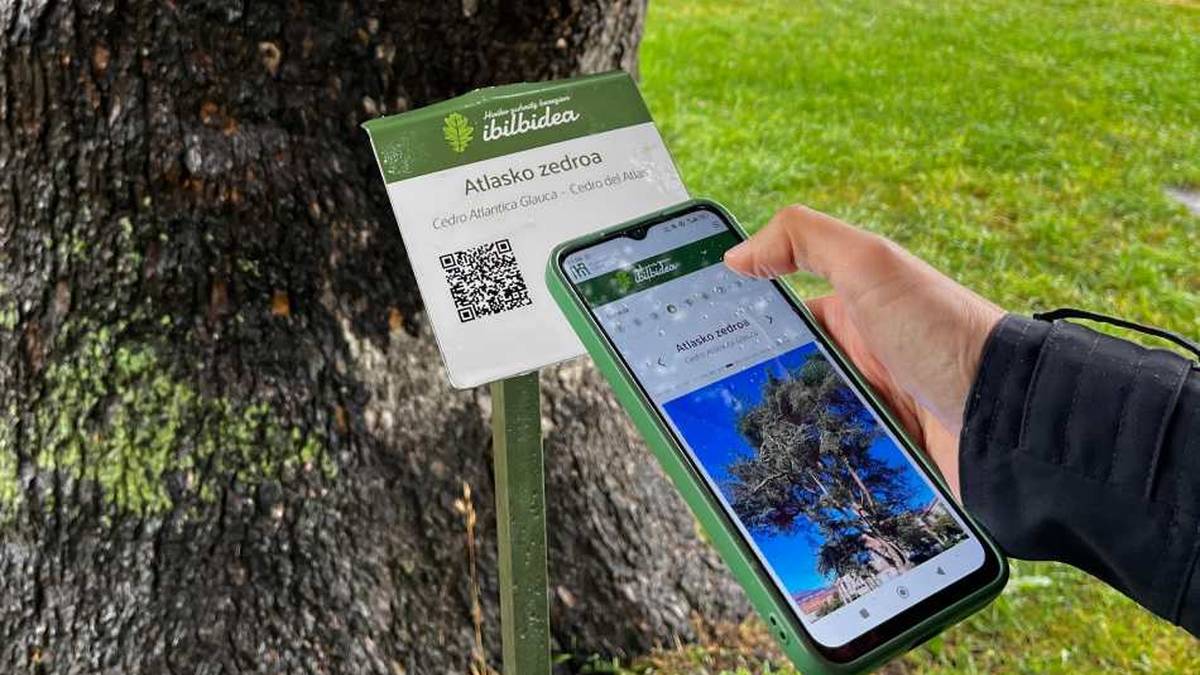 Hiritarren eta hiriguneko biodibertsitatearen bidelagun isilak balioan jartzeko 'Zuhaitzen Ibilbidea' antolatu dute Hondarribian