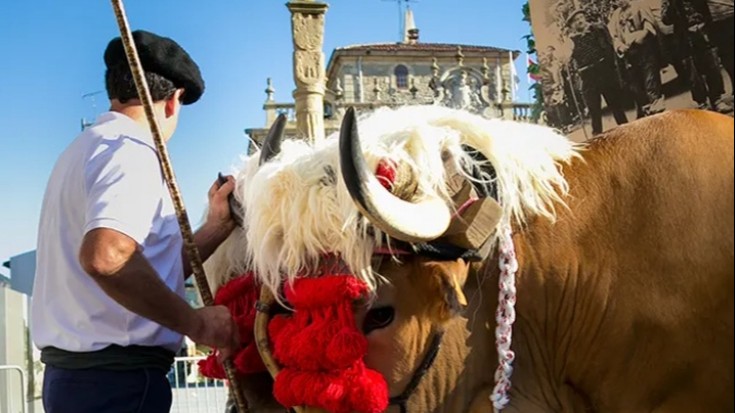 AstoKK Bingo ekimenarekin «txoratzen» dago Euskal Jira