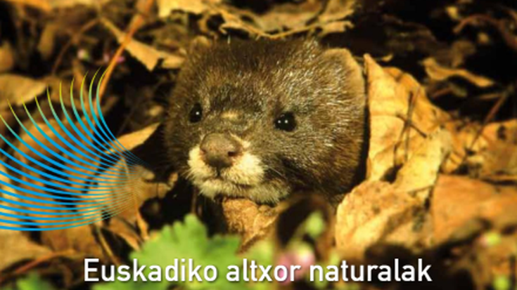 Natura 2000 sarearen egoera