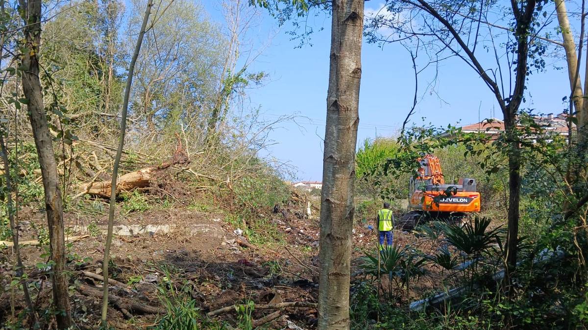 Lakaxita gaztetxearen ondoko basotxoa suntsitzen hasi dira