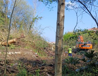 Lakaxita gaztetxearen ondoko basotxoa suntsitzen hasi dira