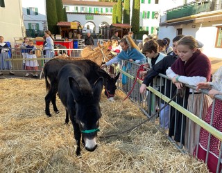 San Tomas ospatuko dute bihar Hondarribiko San Pedro kalean