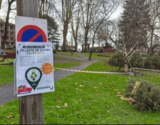 Gabonetako izeiak bilduko dituzte Hendaian konpostatzeko