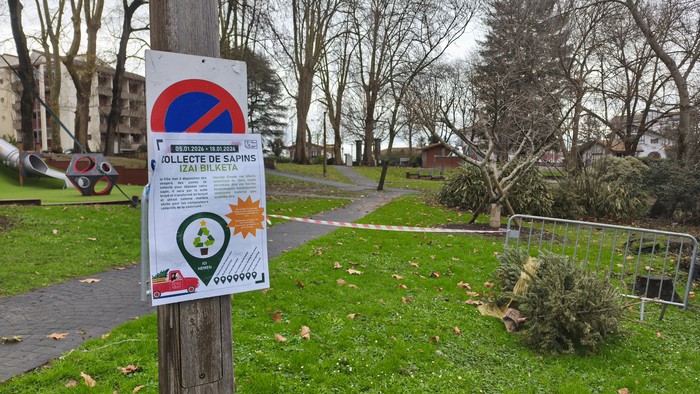 Gabonetako izeiak bilduko dituzte Hendaian konpostatzeko