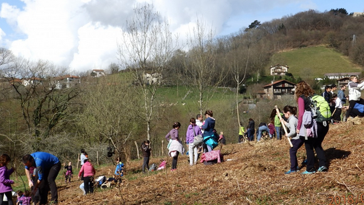 LUR EROSKETAK, LAGAPENAK, ZERTARAKO?