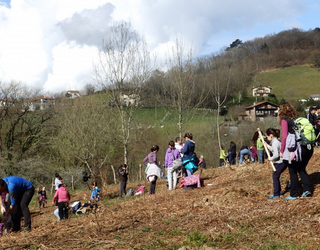 LUR EROSKETAK, LAGAPENAK, ZERTARAKO?