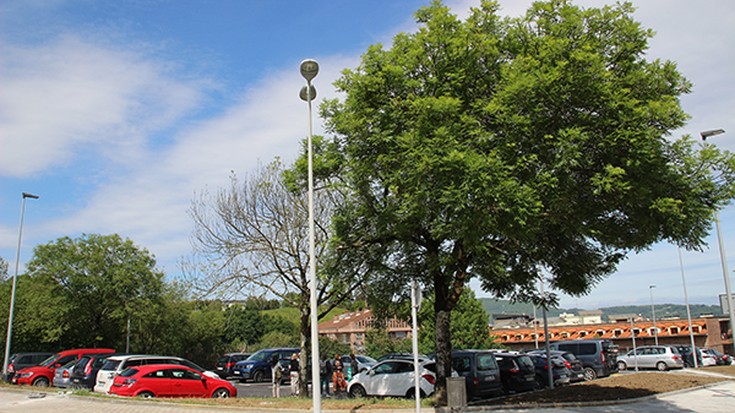 Artia, pertsonentzako plazarik gabeko autoentzako auzoa dela salatu dute