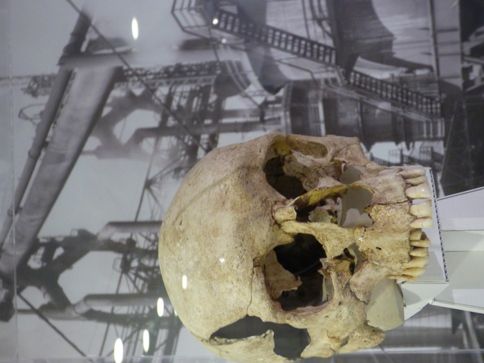 “Aldaketa Klimatikoa Historian Zehar” Oiasso museoan ikusgai