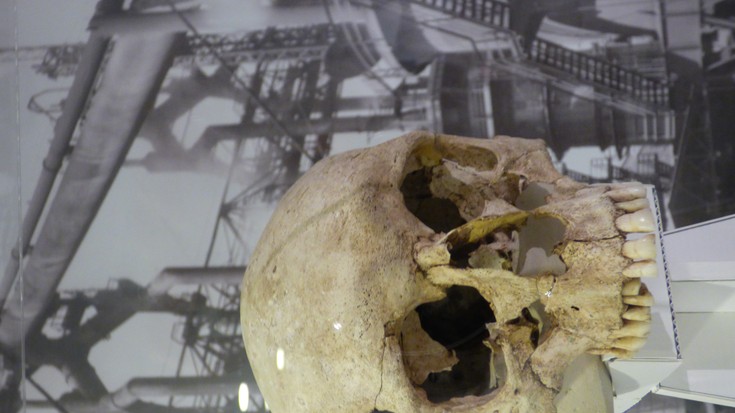 “Aldaketa Klimatikoa Historian Zehar” Oiasso museoan ikusgai 