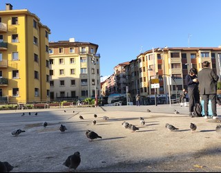 Irungo usoen errolda egingo dute SEO/BirdLife erakundeko adituek martxotik ekainera