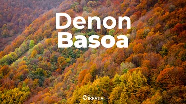 Denon basoa