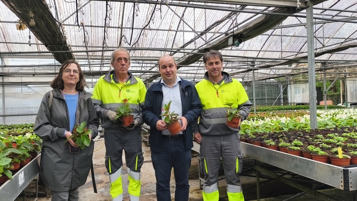 Irun kolorez jantziko da, KM0ko udako loreen landaketa kanpainarekin