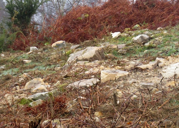 Aldundiak Jaizkibel mendiko ondare arkeologikoa eta naturala noraino kaltetu dituen baloratzeko eskatu du Abotsanitzek