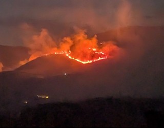 Xoldokogainako sutea «kriminala» izan ote den ikertzen ari dira