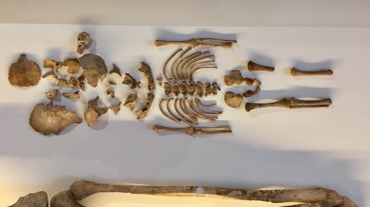 Urpekaritzaren aurreneko froga arkeologikoak aipagai Oiasso Museoan