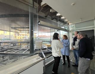 Urte historikoa egin du Oiasso Museoak, terma erromatarren inaugurazioaren atarikoan