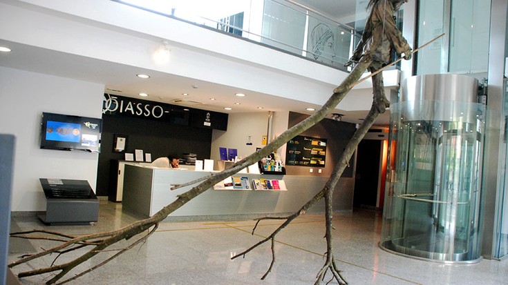 Oiasso Erromatar Museoak, "euskal kostaldeko sukaldaritza" izeneko eraskuketa antolatu du