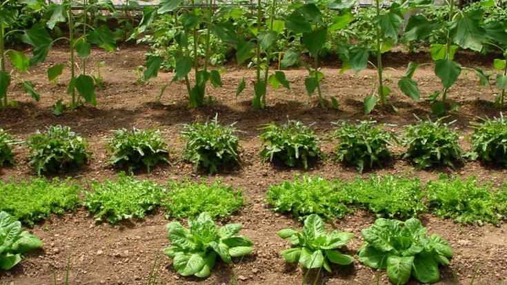 Bilera irekiak eginen dituzte nekazaritza sektorea indartzeko Baztan-Bidasoan