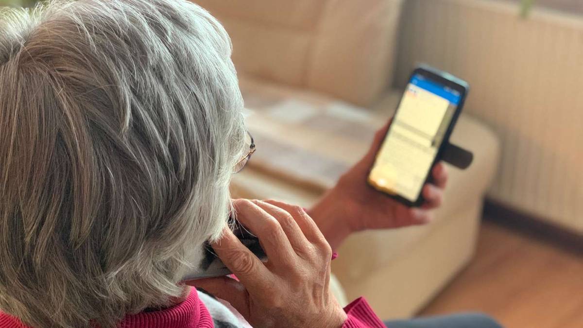 Pertsona helduen eskubide digitalak