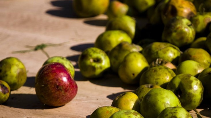 Sagarren besta ospatuko dute igandean Biriatun