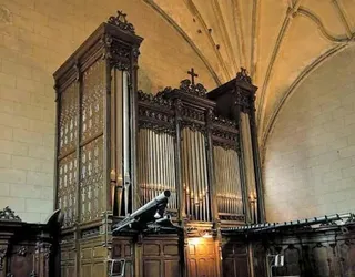 Lesakako altxor musikalak, Roqués organo historikoak, berriz joko du