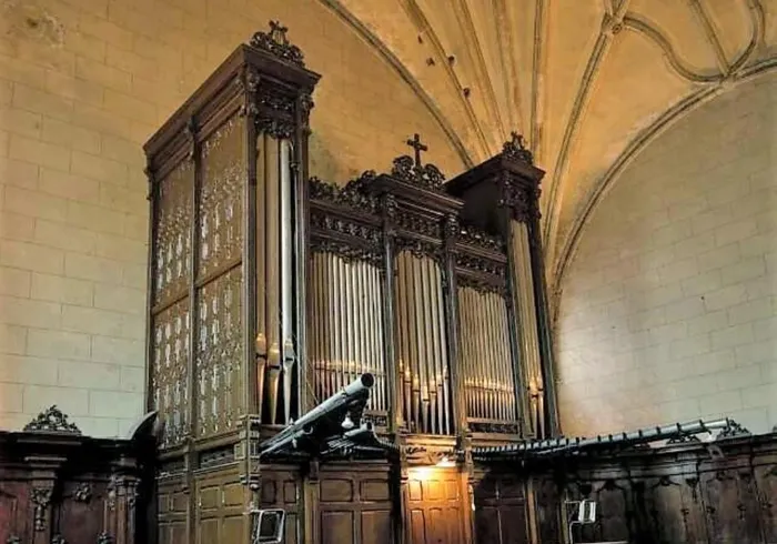 Lesakako altxor musikalak, Roqués organo historikoak, berriz joko du