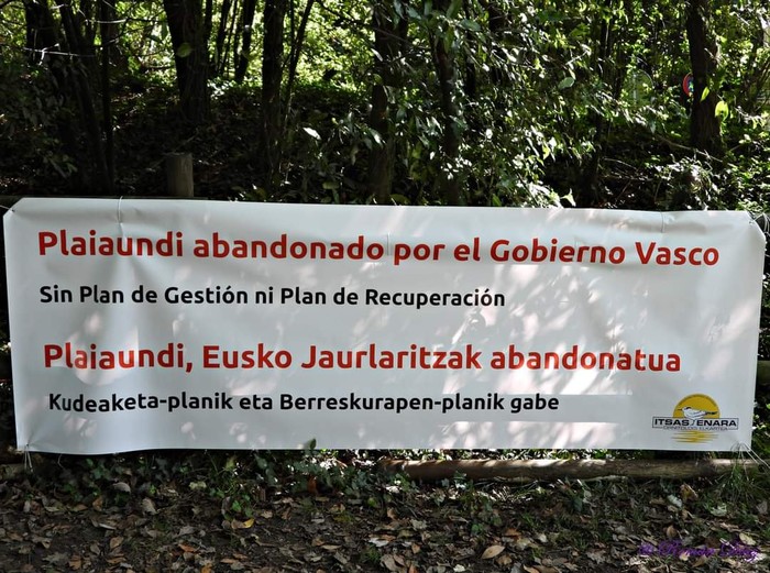 Itsas Enara elkartea: "Plaiaundi ekoetxea Arrasaten egongo balitz, funtzio bera beteko luke" 