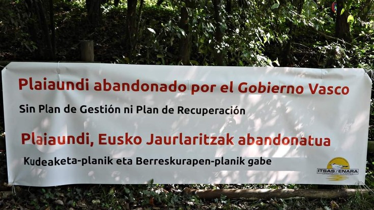 Itsas Enara elkartea: "Plaiaundi ekoetxea Arrasaten egongo balitz, funtzio bera beteko luke" 