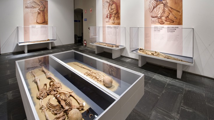Nafarroako Paleopatologia ezagutzeko aukera Oiasso Museoaren eskutik 