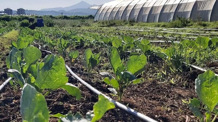 Agroekologia auspotzeko 'Aletze Eguna" antolatu du Sorburu Baratza kooperatibak Botikan