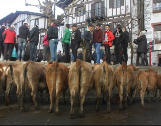 Abeltzainek Lesakako Udalari bizkarra eman eta, protesta gisa, ez dute aziendarik plazara aterako