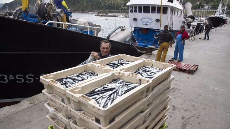 Itsasoan aldaketa garrantzitsu batekin dator antxuaren kostera.