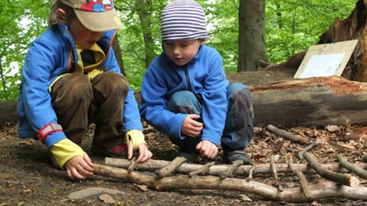 DB47-NATUR ETA BASO-ESKOLAK