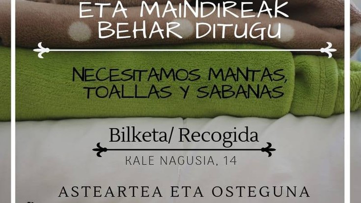 Asteburu luze honetan zehar, hainbat lagun kalean lo egin dutela salatu du Harrera Sareak 