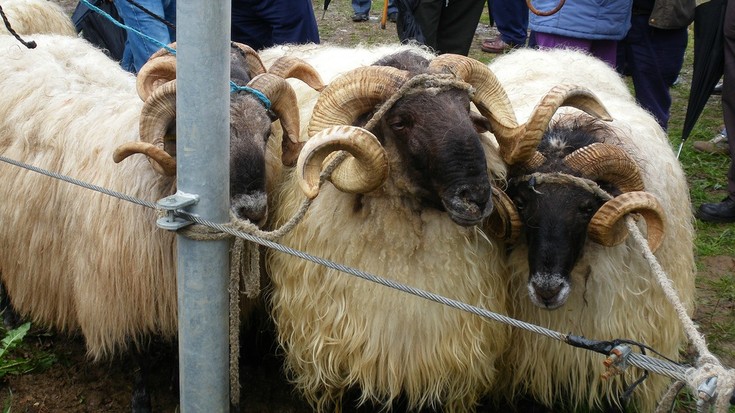 Udaberriko feria eginen dute Elizondon apirilaren 14ean