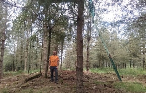 Irunen kokatzen den aurreneko trikuharria aurkitu dute konfinamendu garai bete- betean