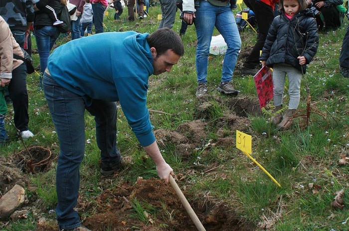 Iaz jaiotako 95 hondarribitarren ametzak martxoaren 18an landatuko dituzte