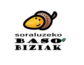 Soraluzeko baso biziak: Elkarrizketa