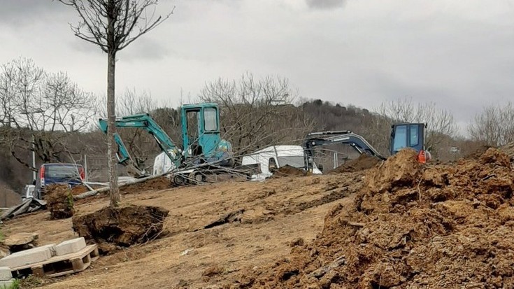 Zuhaitzak "akatzen jarraituz gero", Udalak 2030 Agendaren helburuak nekez beteko dituela salatu du Artiako Lagunak elkarteak
