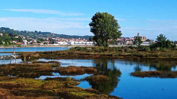 Guraso Laguna programari bultzada eman nahi diote Hondarribian, familiarteko euskara indartzeko