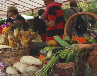 Lurraren Eguna ospatuko dute igandean Beran; aurten, ezberdin