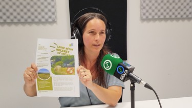Laetitia Navarron: «Hendaiar askok uda kanpalekuetan pasatzen dute edo autoan lo egiten, ohartu eta onartu beharko dugu ezin dela horrela segitu»
