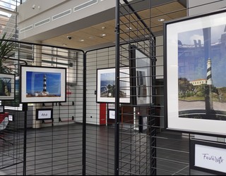 Menorcako itsasargiak Palmera Monteron ikusgai ekainaren 8 arte