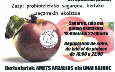 Zazpi probintzietako sagarnoa, hendaiako sagarno egunean