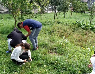 Bidasoaldeko biodibertsitatearen mapa osatzeko erronka zientifikoa bota die Biook elkarteak eskualdeko ikastetxeei