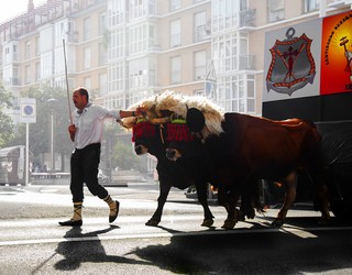 Irungo udalak antolatuko du aurtengo Euskal Jira, elkarte antolatzaileak uda honetako edizioari uko egin ondotik
